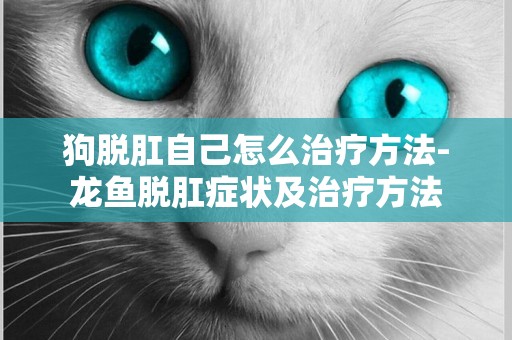 狗脫肛自己怎么治療方法-龍魚脫肛癥狀及治療方法