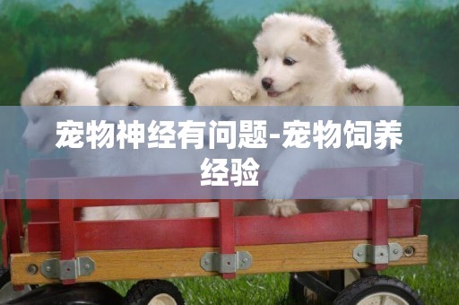 寵物神經有問題-寵物飼養經驗