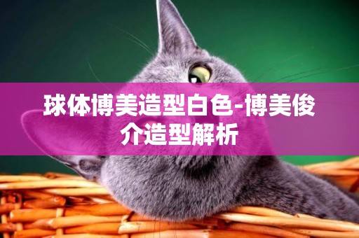 球體博美造型白色-博美俊介造型解析