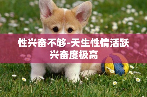 性興奮不夠-天生性情活躍興奮度極高