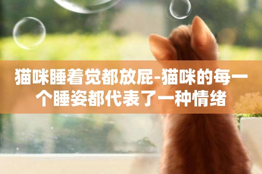 貓咪睡著覺都放屁-貓咪的每一個睡姿都代表了一種情緒