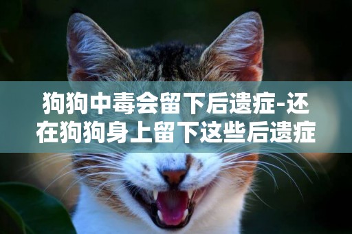 狗狗中毒會留下后遺癥-還在狗狗身上留下這些后遺癥