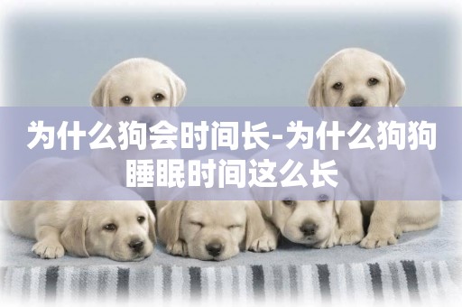 為什么狗會時間長-為什么狗狗睡眠時間這么長