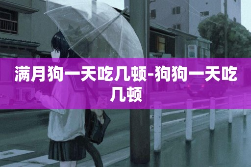 滿月狗一天吃幾頓-狗狗一天吃幾頓