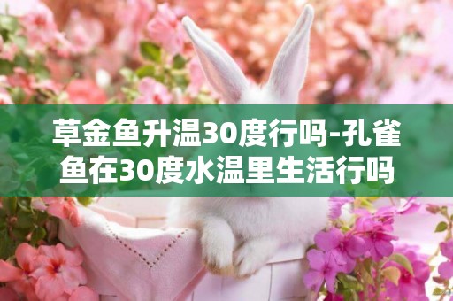 草金魚升溫30度行嗎-孔雀魚在30度水溫里生活行嗎