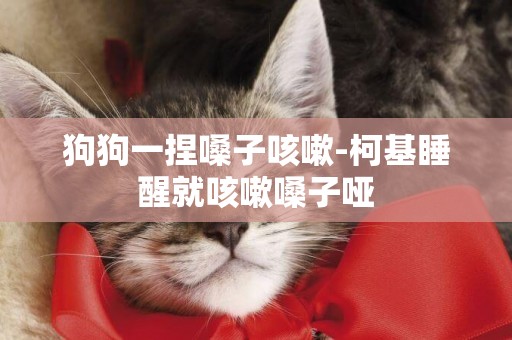 狗狗一捏嗓子咳嗽-柯基睡醒就咳嗽嗓子啞