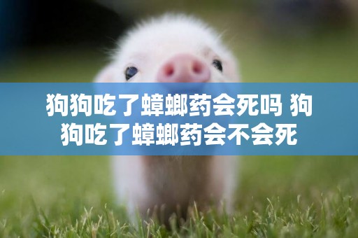 狗狗吃了蟑螂藥會死嗎 狗狗吃了蟑螂藥會不會死