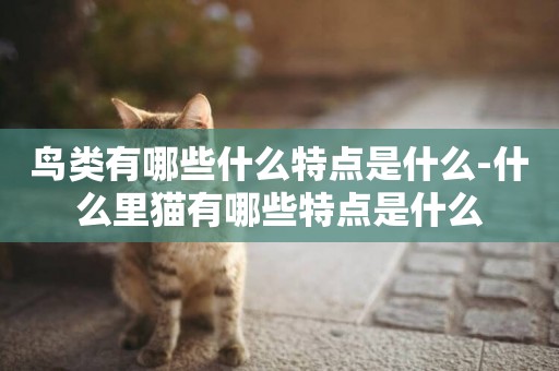 鳥類有哪些什么特點是什么-什么里貓有哪些特點是什么