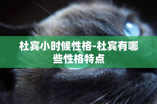 杜賓小時候性格-杜賓有哪些性格特點