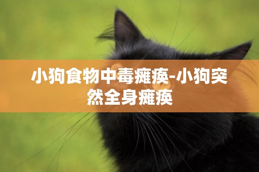 小狗食物中毒癱瘓-小狗突然全身癱瘓