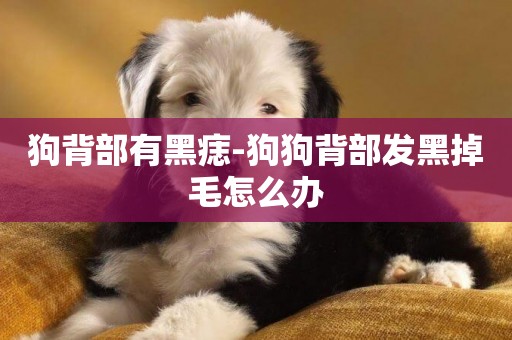 狗背部有黑痣-狗狗背部發黑掉毛怎么辦