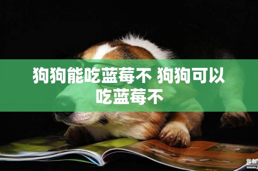 狗狗能吃藍莓不 狗狗可以吃藍莓不