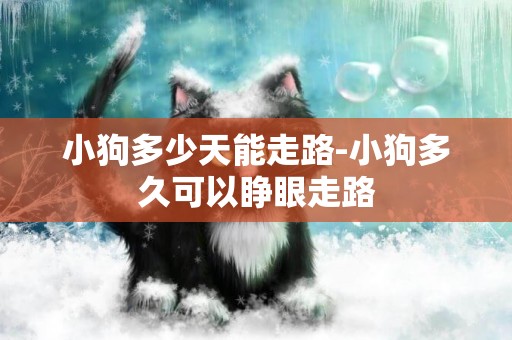 小狗多少天能走路-小狗多久可以睜眼走路