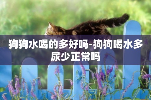 狗狗水喝的多好嗎-狗狗喝水多尿少正常嗎