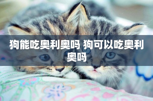 狗能吃奧利奧嗎 狗可以吃奧利奧嗎