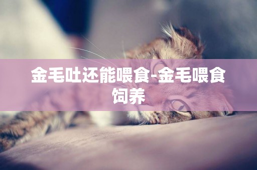 金毛吐還能喂食-金毛喂食飼養