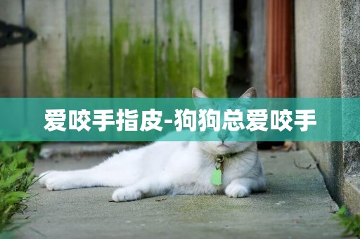 愛咬手指皮-狗狗總愛咬手