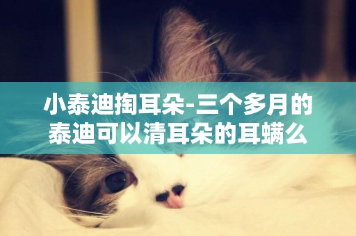 小泰迪掏耳朵-三個多月的泰迪可以清耳朵的耳螨么