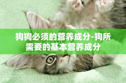狗狗必須的營養成分-狗所需要的基本營養成分