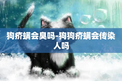 狗疥螨會臭嗎-狗狗疥螨會傳染人嗎