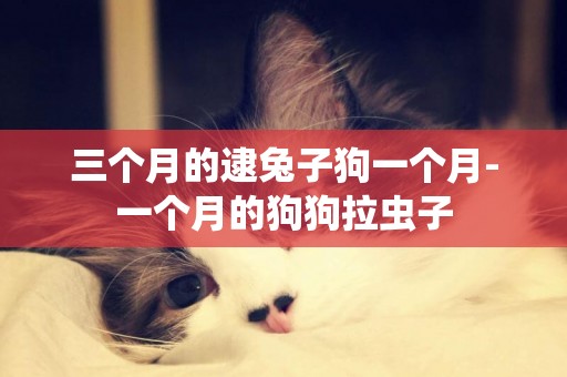 三個月的逮兔子狗一個月-一個月的狗狗拉蟲子