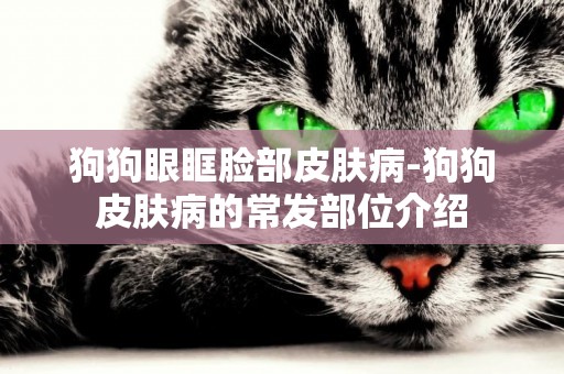 狗狗眼眶臉部皮膚病-狗狗皮膚病的常發部位介紹
