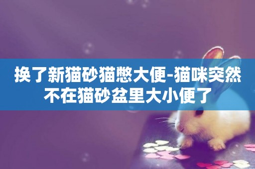 換了新貓砂貓憋大便-貓咪突然不在貓砂盆里大小便了