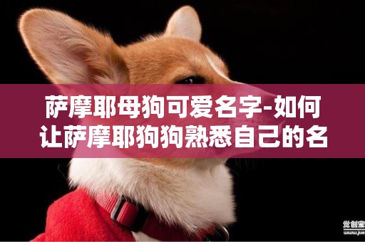 薩摩耶母狗可愛名字-如何讓薩摩耶狗狗熟悉自己的名字