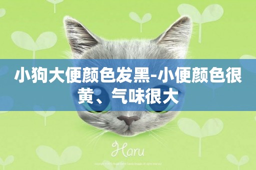 小狗大便顏色發黑-小便顏色很黃、氣味很大