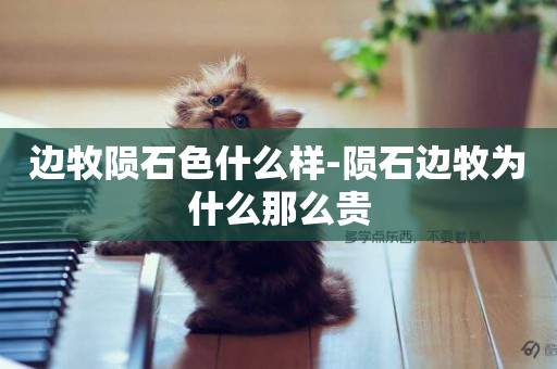 邊牧隕石色什么樣-隕石邊牧為什么那么貴