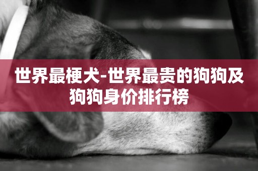 世界最梗犬-世界最貴的狗狗及狗狗身價排行榜