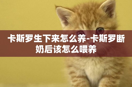 卡斯羅生下來怎么養-卡斯羅斷奶后該怎么喂養
