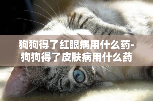 狗狗得了紅眼病用什么藥-狗狗得了皮膚病用什么藥