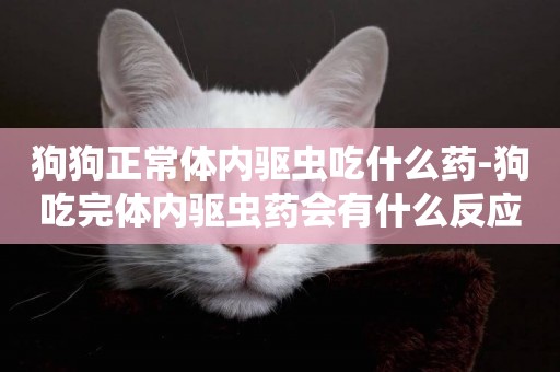 狗狗正常體內驅蟲吃什么藥-狗吃完體內驅蟲藥會有什么反應