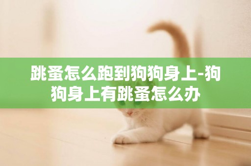 跳蚤怎么跑到狗狗身上-狗狗身上有跳蚤怎么辦