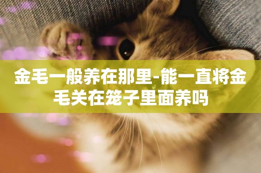 金毛一般養在那里-能一直將金毛關在籠子里面養嗎