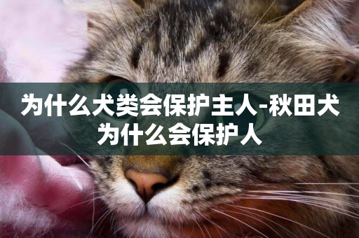 為什么犬類會保護主人-秋田犬為什么會保護人