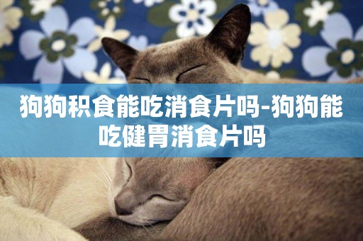 狗狗積食能吃消食片嗎-狗狗能吃健胃消食片嗎