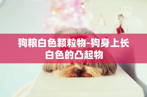 狗糧白色顆粒物-狗身上長白色的凸起物