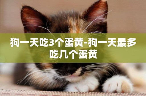 狗一天吃3個蛋黃-狗一天最多吃幾個蛋黃