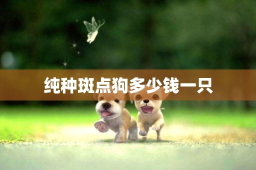 純種斑點狗多少錢一只
