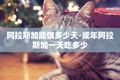 阿拉斯加能餓多少天-成年阿拉斯加一天吃多少