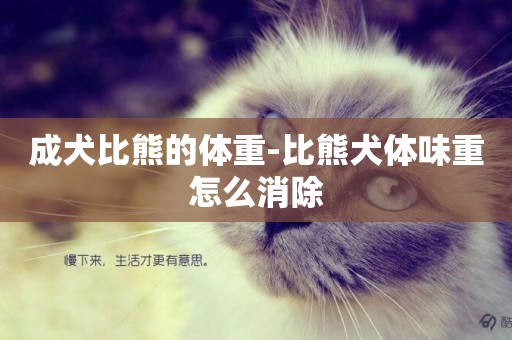 成犬比熊的體重-比熊犬體味重怎么消除