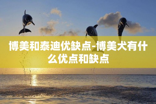 博美和泰迪優缺點-博美犬有什么優點和缺點