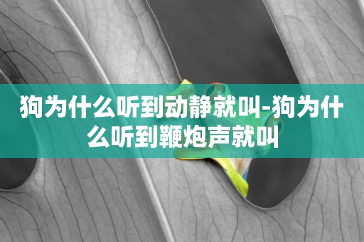 狗為什么聽到動靜就叫-狗為什么聽到鞭炮聲就叫