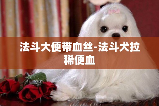 法斗大便帶血絲-法斗犬拉稀便血