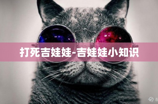 打死吉娃娃-吉娃娃小知識