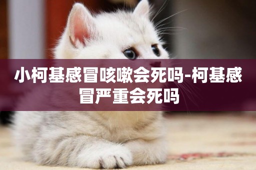 小柯基感冒咳嗽會死嗎-柯基感冒嚴重會死嗎