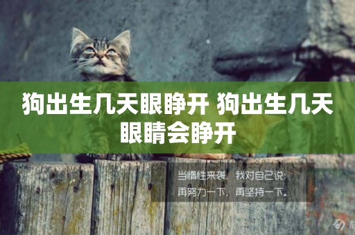 狗出生幾天眼睜開 狗出生幾天眼睛會睜開