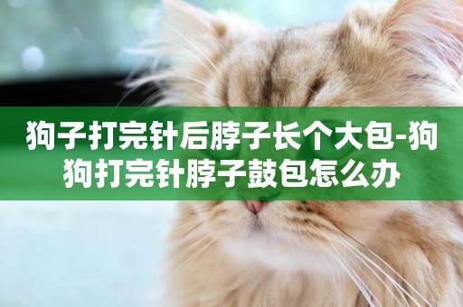 狗子打完針后脖子長個大包-狗狗打完針脖子鼓包怎么辦